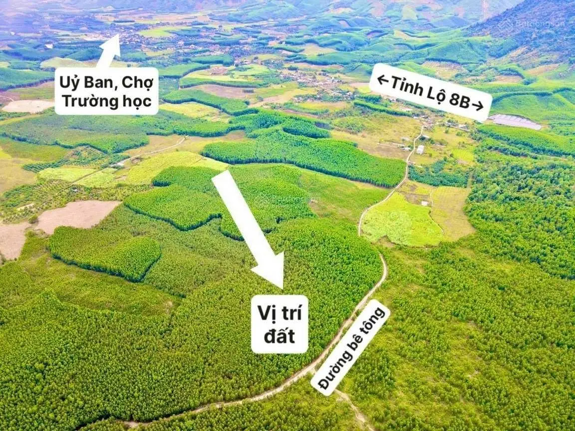 Bán 5 hecta đất xã Khánh Trung, đường bê tông 420m2 ô tô tận nơi gần Tỉnh Lộ 8