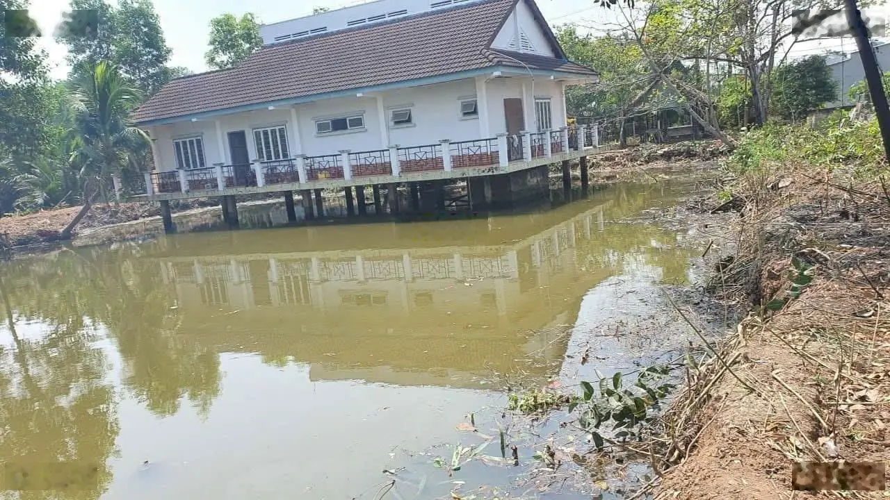 Cần bán gấp 11.000m (có 500m thổ) đất View sông MT đường và MT sông trải dài xã Nhơn Đức ,H.Nhà Bè