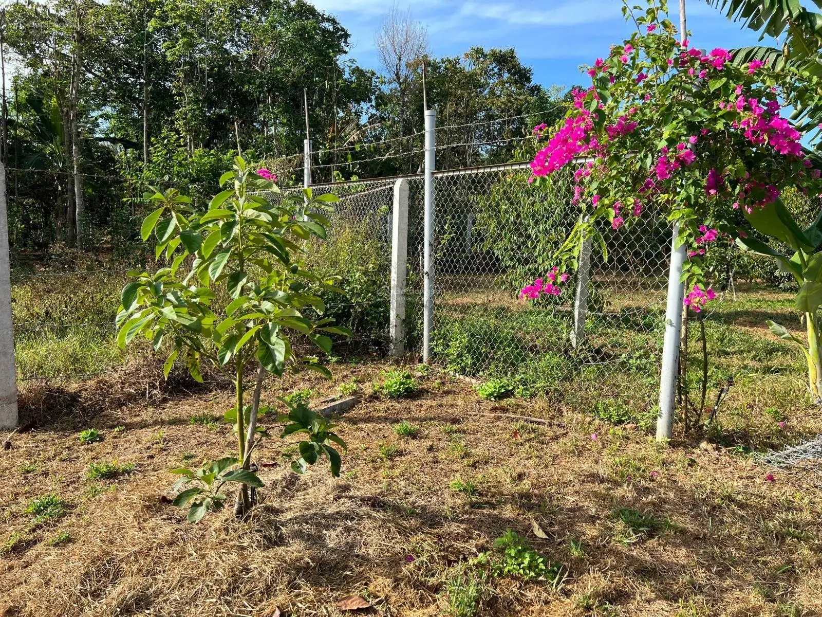 Giá rất tốt, bán đất thổ cư mặt tiền nhựa thông, sau trường học tại TT Kim Long, Châu Đức, BRVT