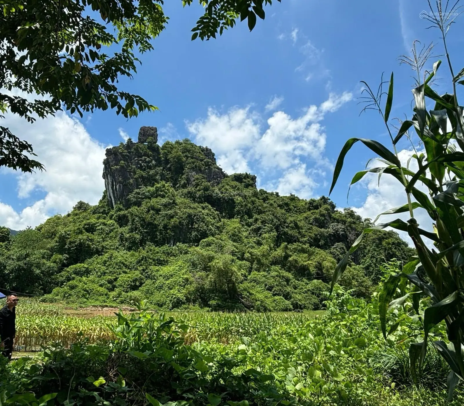 Bán đất nhà ở tại Cao Dương, view núi đá 2000m