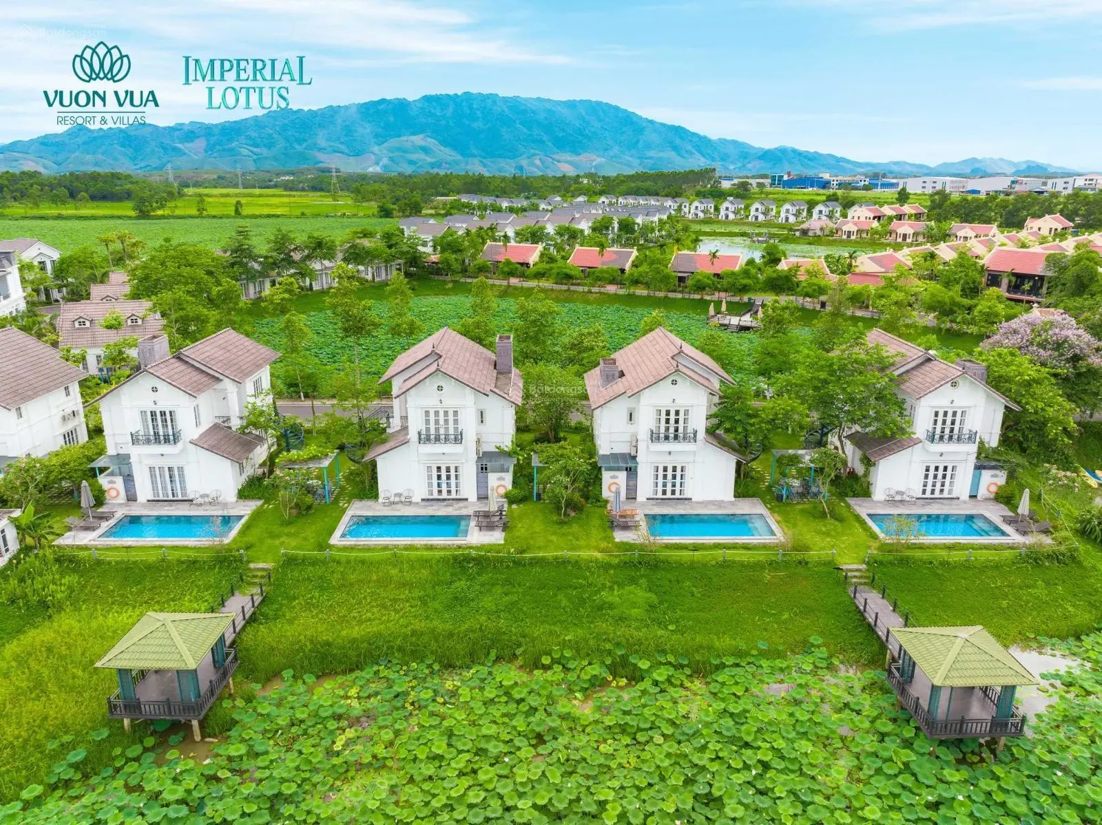 Biệt thự nghỉ dưỡng khoáng nóng compound duy nhất tại Vườn Vua Resort chỉ từ 6,5 tỷ/lô sổ hồng