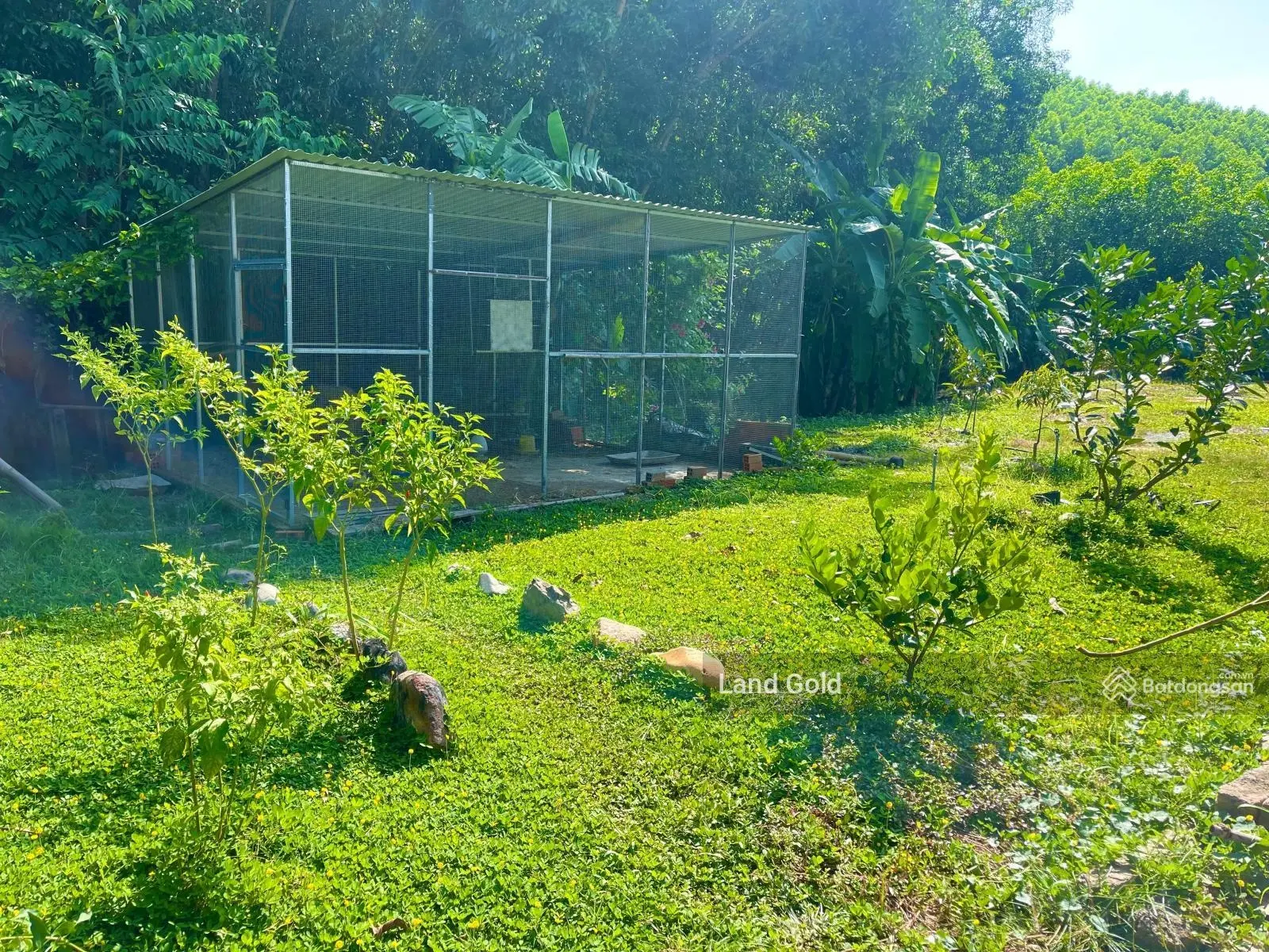 Khánh Trung farm 2700m2 siêu đẹp