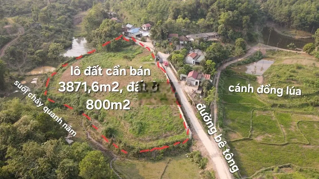 Cần bán lô đất diện tích 3871m2 tại Cao Sơn, Lương Sơn, Hòa Bình