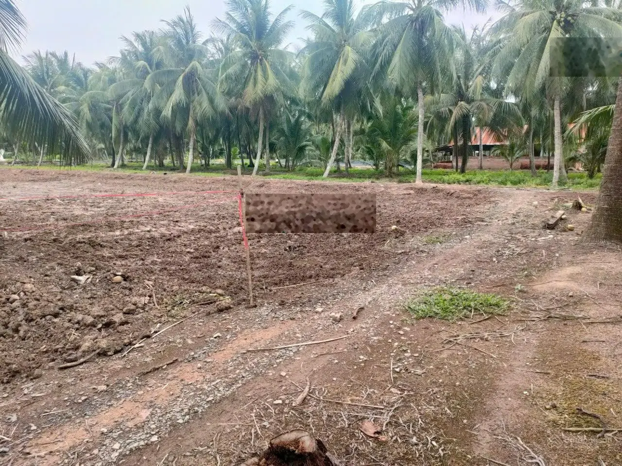 Bán lô đất vườn có sẵn thổ cư (đường xe máy) tại cù lao Tân Phú Đông, Tiền Giang, giá chỉ 145tr