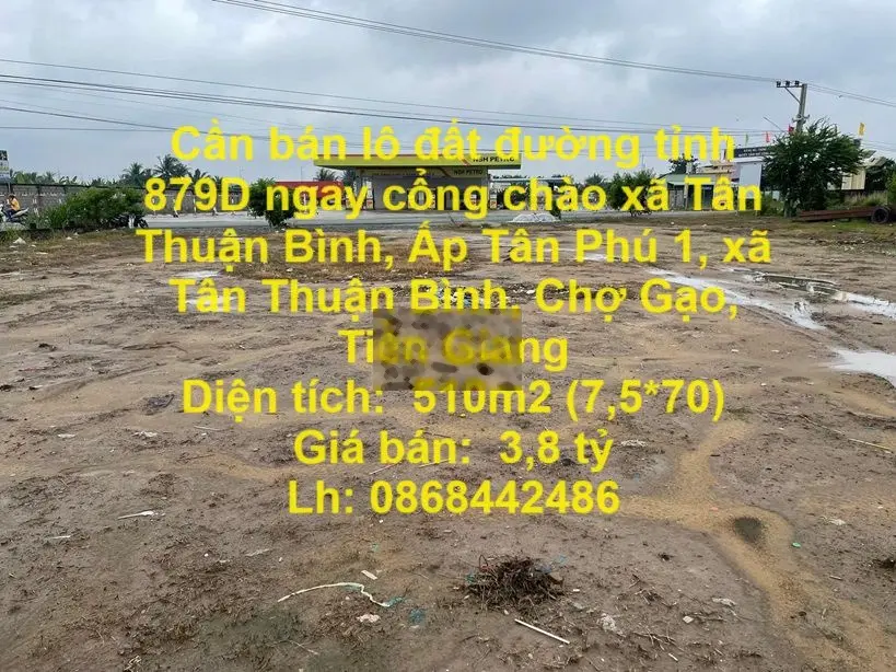 Đất đường tỉnh 879Dngay cổng chào xã Tân Thuận Bình,Chợ Gạo,Tiền Giang