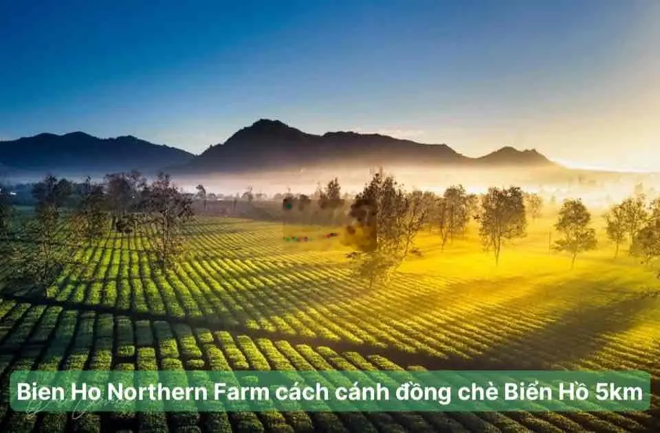 Đất vườn trung tâm KDL Chư Đăng Ya - Biển Hồ , về sân bay Pleiku 15'