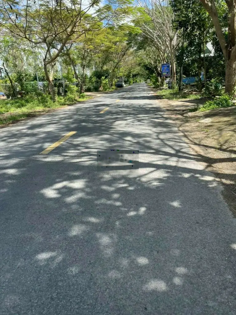 Nền ĐT846 cách chợ Tân Nghĩa - Thống Linh 1,5km