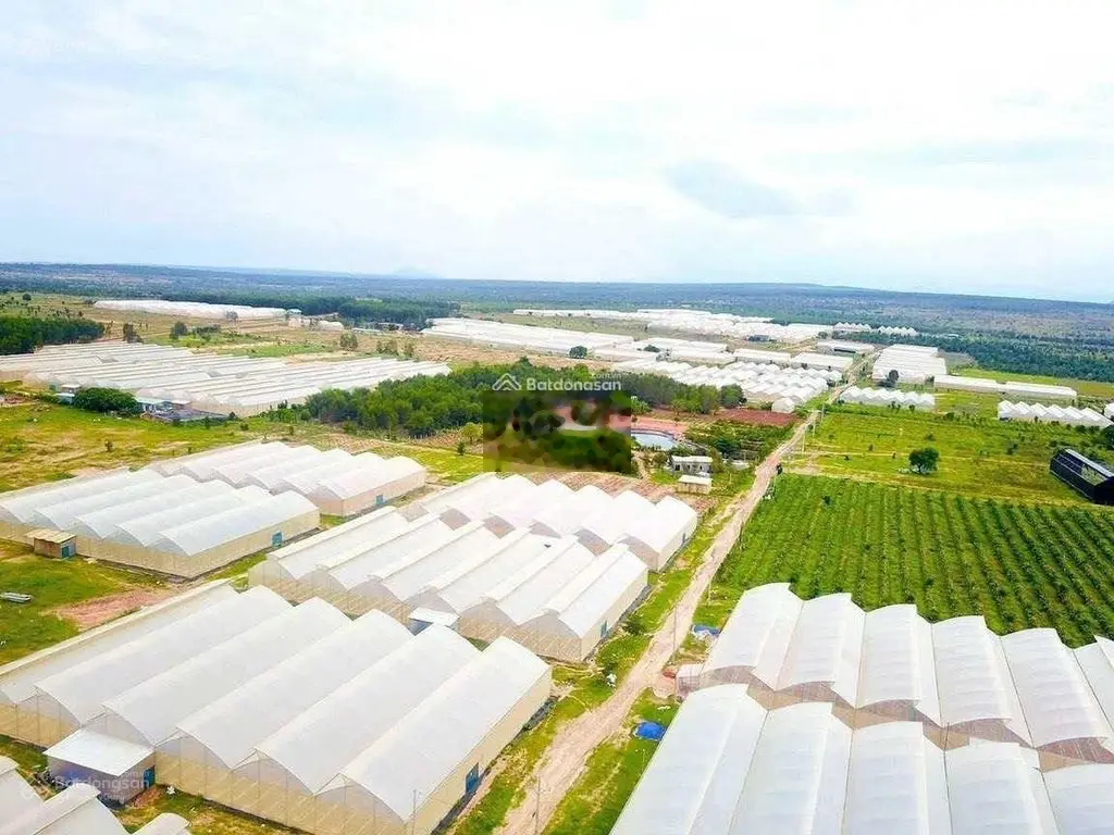 Bán 5576m2 đất MT đường chính vào khu farm Hoà Thắng, cách biển 15phút