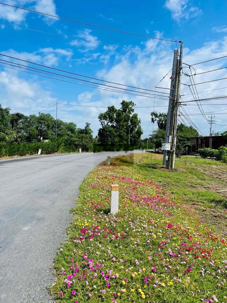 Nền thuộc Ấp Cầu Xây , Huyện Gò Công Đông , cách đê biển 500m .