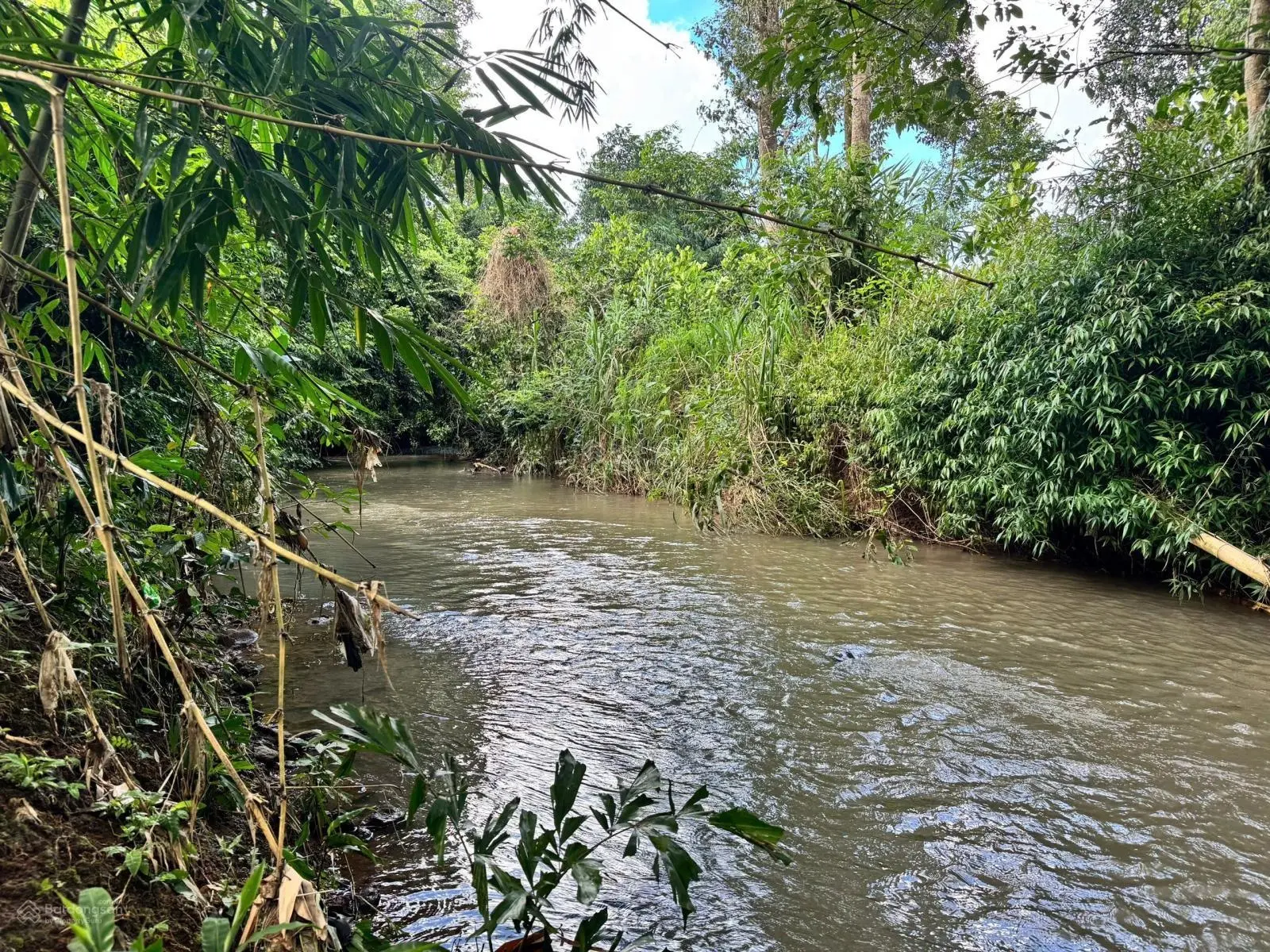 Bán đất sào view suối Cẩm Mỹ, đồng Nai