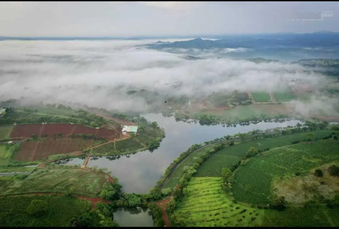 Bán lô đất villa 2 mặt tiền đường, view rừng thông Bảo Lộc, Lâm Đồng. Gần đồi chè Tâm Châu