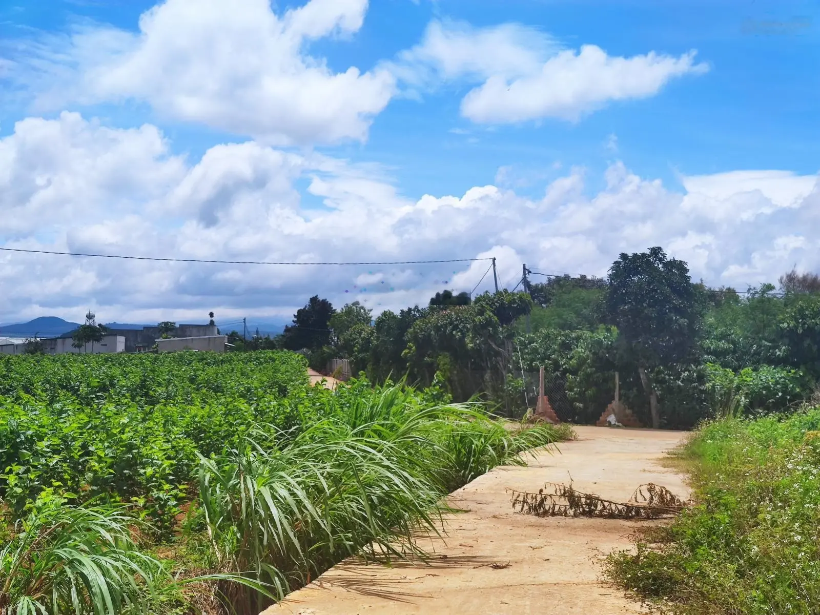 Bán đất ở chính chủ TT. Đinh Văn, Lâm Hà