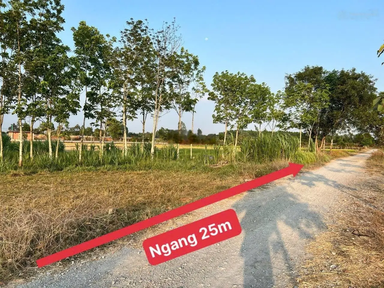 139m2 (gần full thổ cư), xã Phước Hiệp, SHR, giá 595tr (cam kết giá thật)